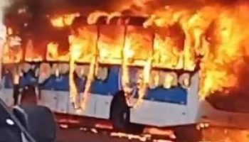 Captura-de-tela-2026-03-18-124054-300x218-1