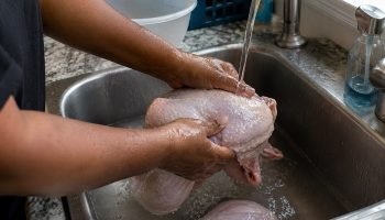Lavando-frango.jpg