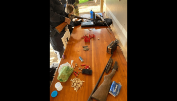 PF prende caçador em operação contra caça ilegal no Parque Nacional do Iguaçu