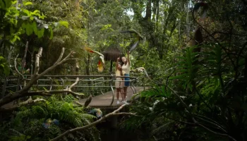 ParquedasAves-Divulgacao