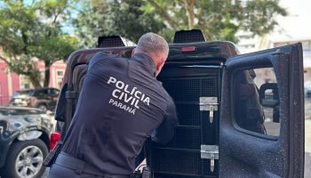 Policia-Civil-1.jpg