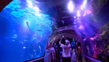 Balneário Camboriú oferece atrações além da praia