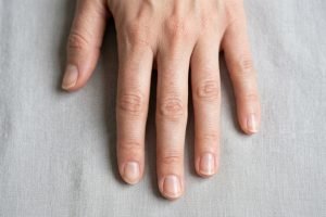 Foto: Terra Brasil Notícias