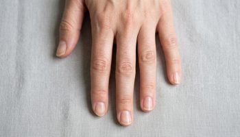 Foto: Terra Brasil Notícias