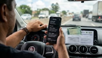 Foto: Terra Brasil Notícias