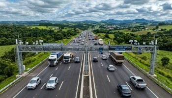 Foto: Terra Brasil Notícias