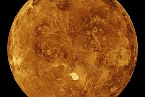 Venus.jpg