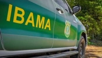 Viatura-do-Ibama-300x200-1