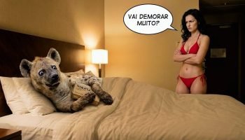 Imagem meramente ilustrativa