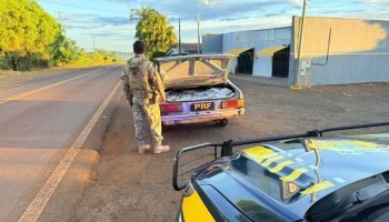 PRF apreende 200 kg de agrotóxicos contrabandeados na PR-180