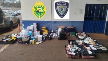 Polícia e Guarda Municipal apreendem ônibus com eletrônicos e anabolizantes na BR-277