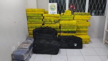 Polícia Militar apreende mais de 1 tonelada de maconha em Cascavel, Paraná