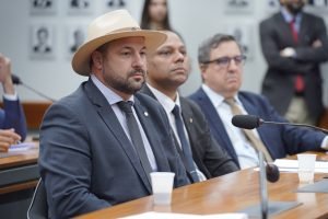 Deputado Federal Geraldo Mendes durante sessão de comissão na Câmara Federal (Ascom/GM)