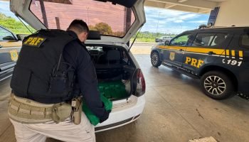 PRF prende casal que transportava 131 kg de maconha em carro com criança e cachorro