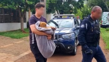 Foto: O homem é suspeito de abusar sexualmente do Beagle, que foi levado a uma c