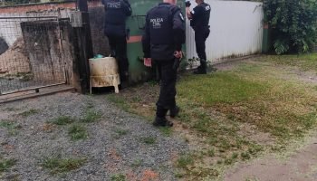 Polícia Civil do Paraná e de Santa Catarina prendem homem por furto qualificado em Cascavel