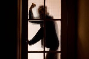 A criança corre até o padre com o gato nos braços durante a celebração religiosa