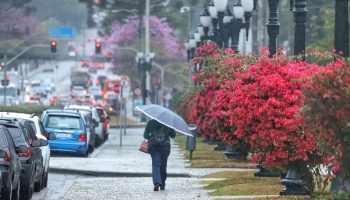Paraná recebe alerta amarelo por chuvas intensas e ventos de 60 km/h