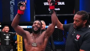 aljamain-sterling-ufc-mma