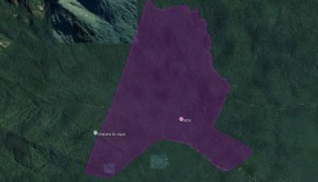 Decreto amplia área do Parque Estadual Roberto Ribas Lange, em Antonina e Morretes