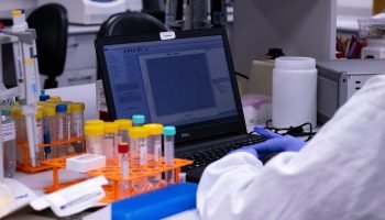 Paraná amplia investimentos em inovação e acelera número de startups em mais de 500%