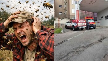 Homem recebe 200 picadas de abelhas e fica em estado grave em Curitiba