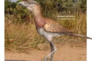 ave-do-terror-2-300x177-1