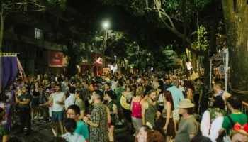 A onça vai rugir (e beber, não necessáriametne água) no Carnaval da Brasil – fot