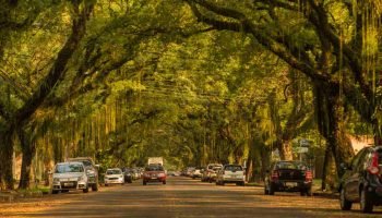 Avenida de Foz do Iguaçu recebe festival de cerveja artesanal
