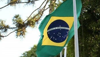 bandeira-do-brasil006660120202608111647.jpg