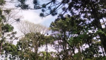 bd53e3683edaf19940ab6c00f6522042617c146e