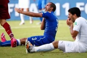 bpic6tfoeeenqk5voq8cvtvjs