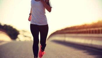 Imagem sugerida para ilustrar a notícia — Foto: g+ notícias