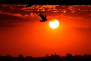 Foto: Foto: José Fernando Ogura/Arquivo AEN