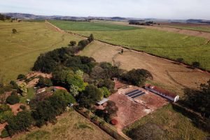 Julgamento no TRF4 reafirma a validade das regras do Código Florestal no Paraná.