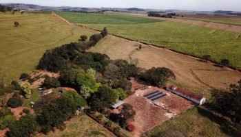 Julgamento no TRF4 reafirma a validade das regras do Código Florestal no Paraná.