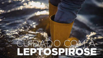 Saúde alerta: risco de leptospirose aumenta após chuvas