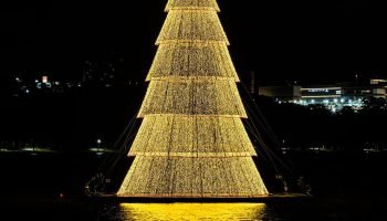 Furto de cabos de energia atrasa iluminação da árvore flutuante