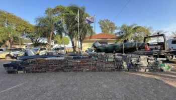 Paraná apreende mais maconha de janeiro a novembro do que em todo o ano de 2024