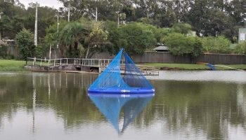 Foto: Governo do Paraná