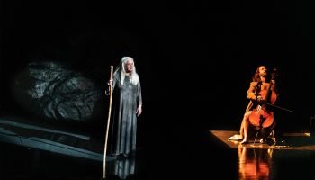 cctg_ficcoes_credito_flavia_canavarro