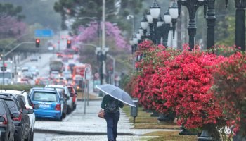 Simepar prevê gangorra nas temperaturas e chuvas irregulares na semana