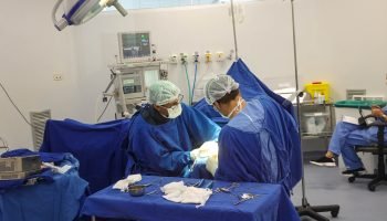 Foto: Governo do Paraná