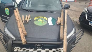 Torcedores de Athletico e Coritiba brigam em Pinhais durante Atletiba