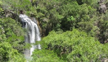 Sete locais classificados na relação final de reservas naturais do edital créditos
