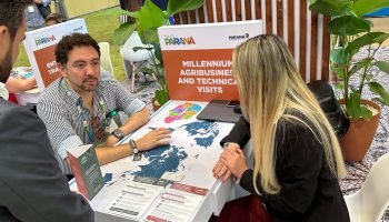 Foto: Governo do Paraná