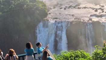 Foto: Governo do Paraná