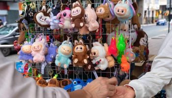 Labubu se destaca como boneco mais pesquisado do ano