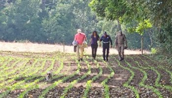 Após meses desaparecida, mulher de Goiás é encontrada por bombeiros em mata no interior de Prudentópolis