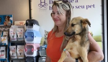 Guarapuava Inicia Castrações Gratuitas para Animais de Famílias de Baixa Renda e ONGs
